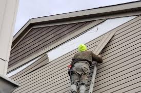 Best Siding Painting and Refinishing  in Long Branch, NJ